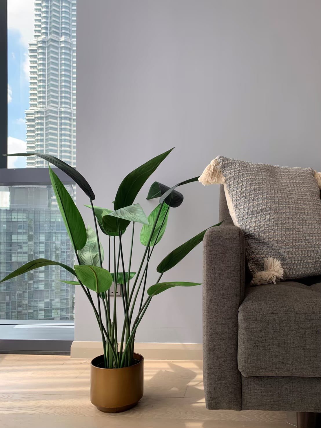 AWH_Star Residence_3_Plant
