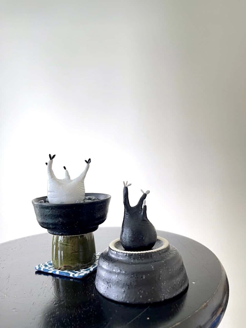 kl-tomo-moo-clay-handmade-caudex-10