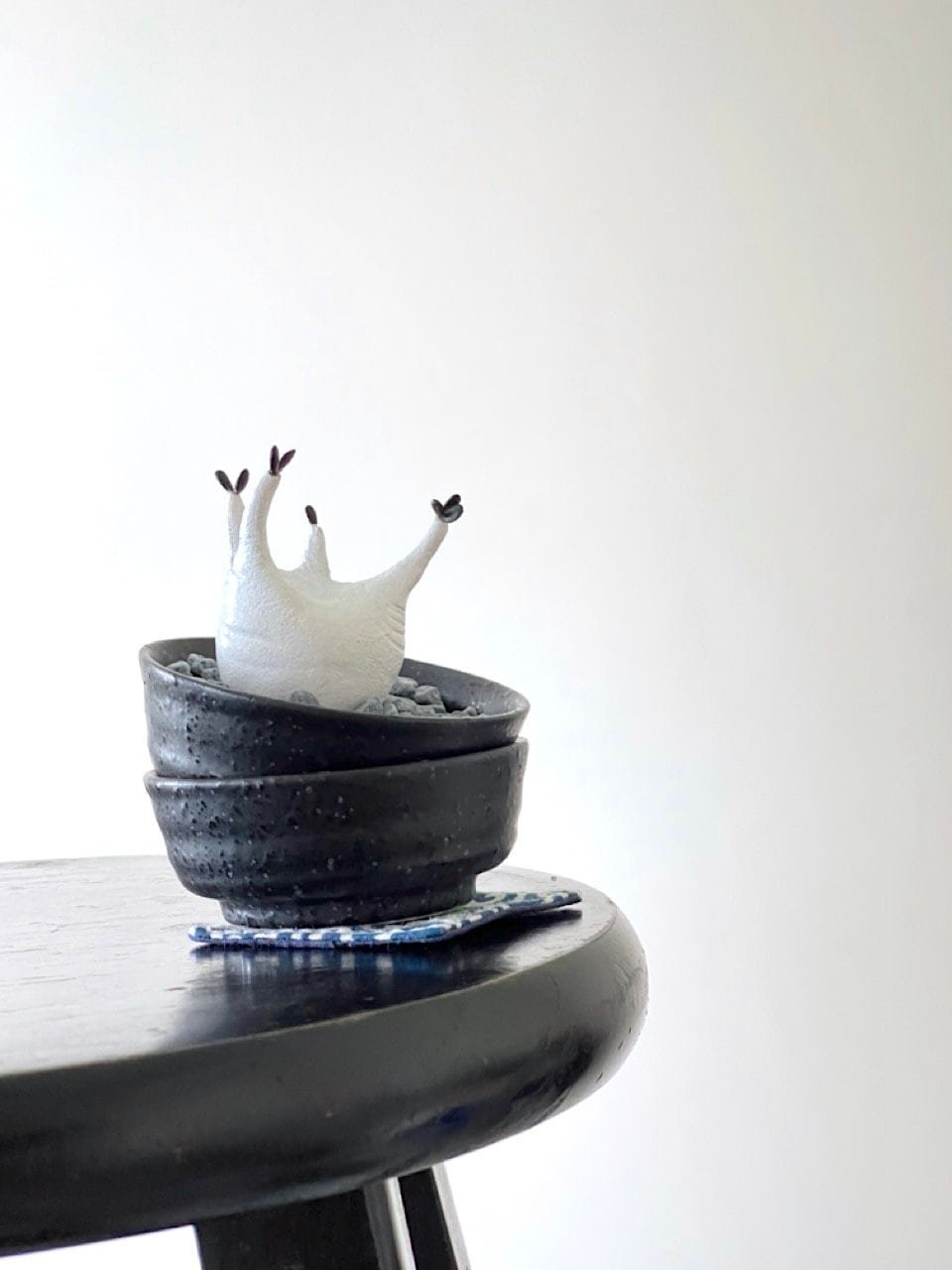 kl-tomo-moo-clay-handmade-caudex-6