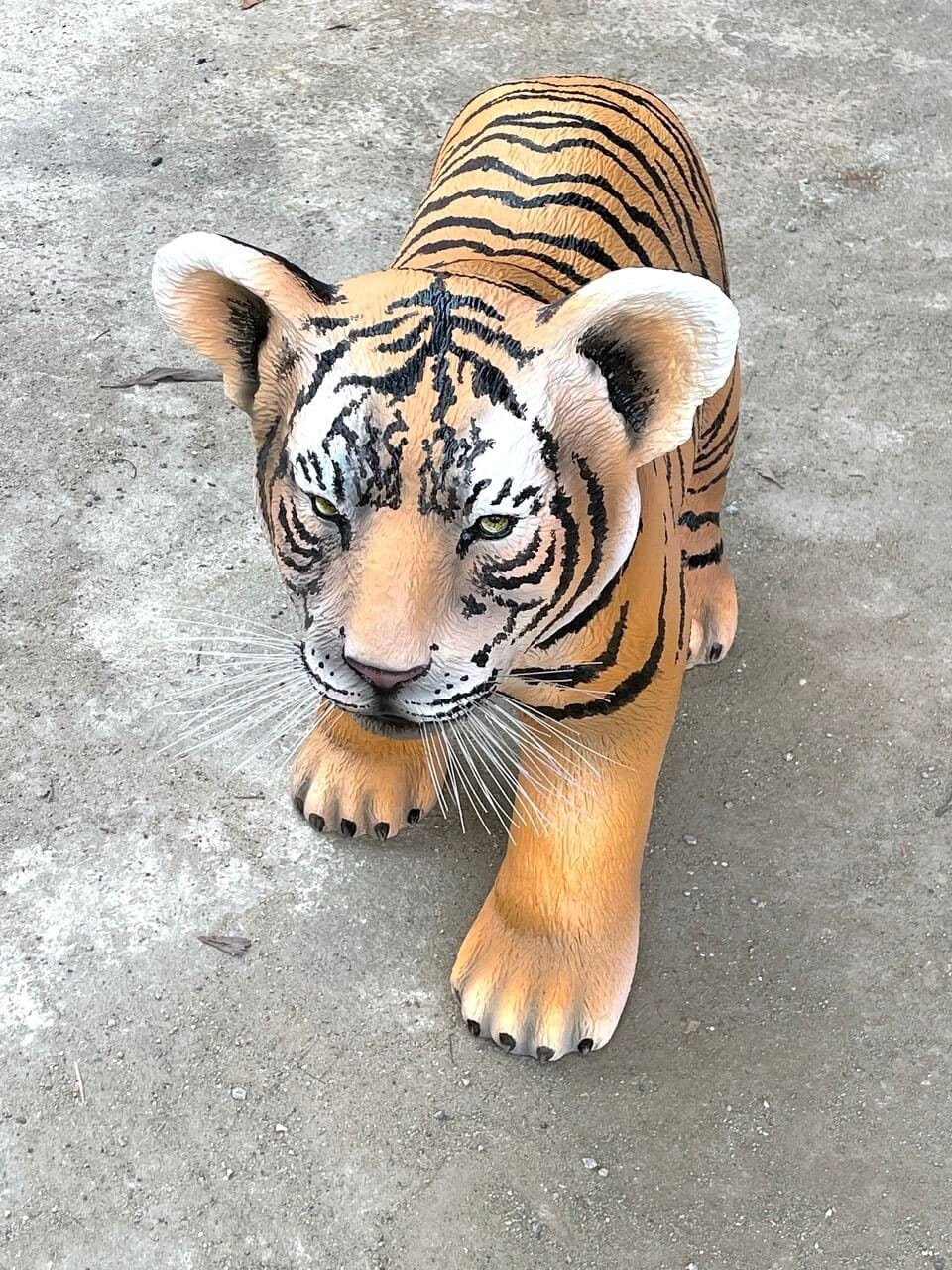 kl-tomo-moo-clay-handmade-zoo-negara-malayan-tiger-1