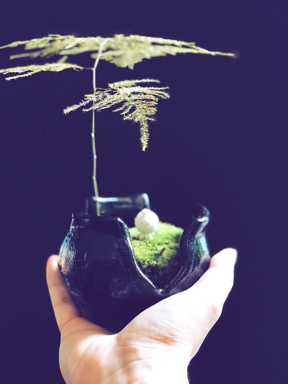 kl-tomo-moo-clay-plants-handmade-bonsai-asparagus-fern-3