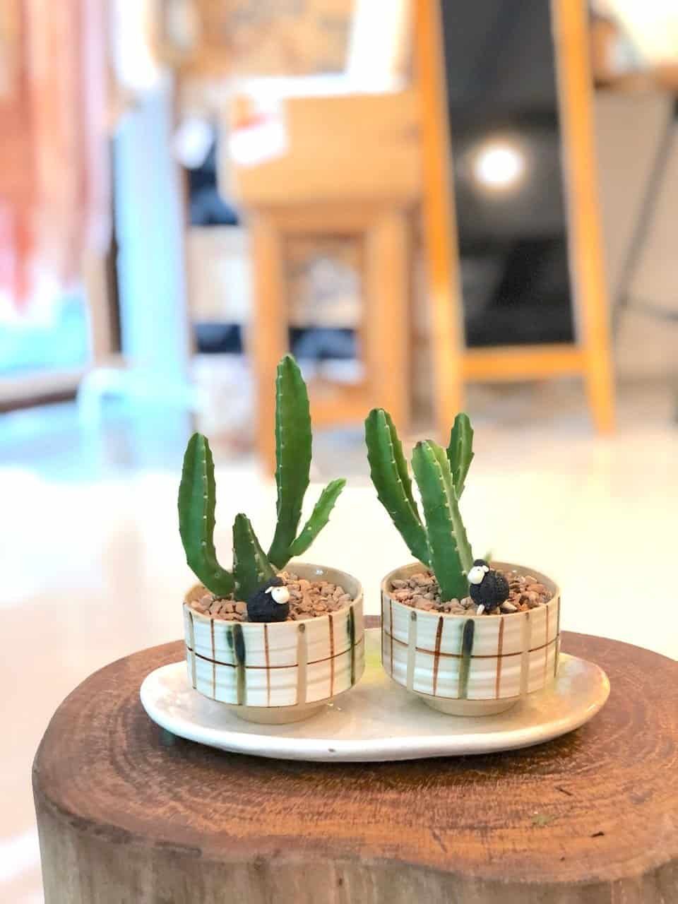 kl-tomo-moo-clay-plants-handmade-bonsai-cactus-1