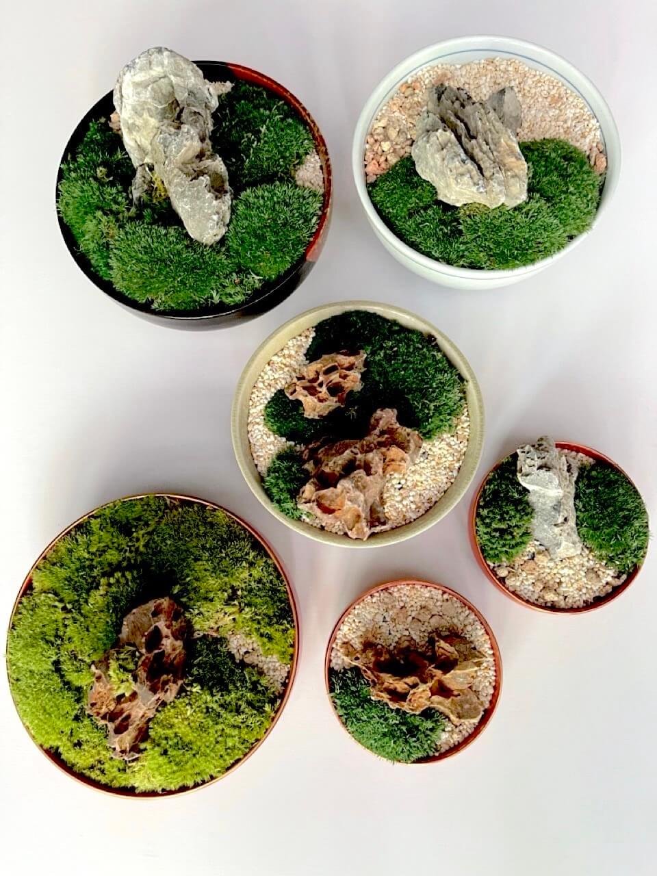 kl-tomo-moo-clay-plants-handmade-bonsai-koke-3