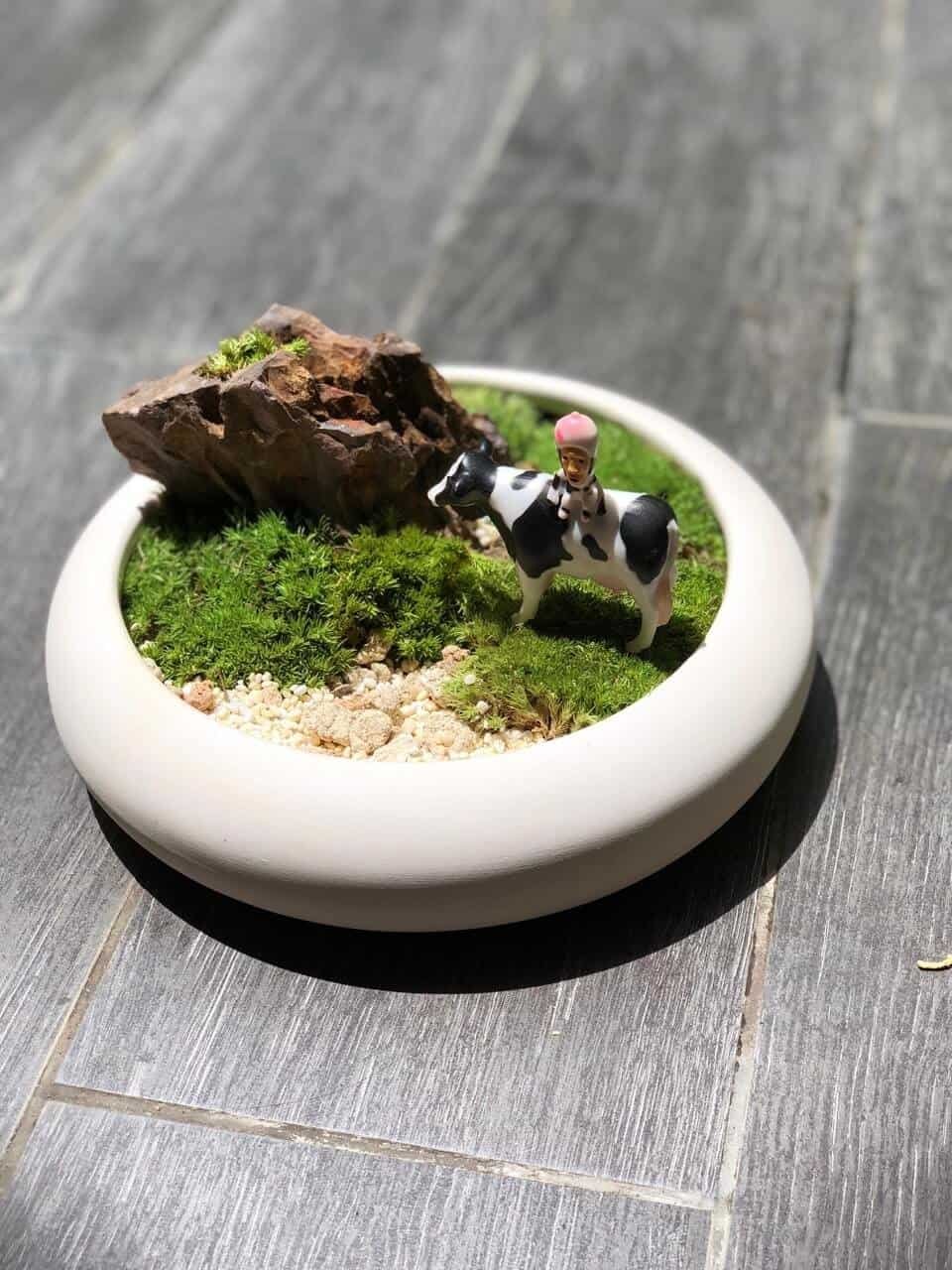 kl-tomo-moo-clay-plants-handmade-bonsai-koke-5
