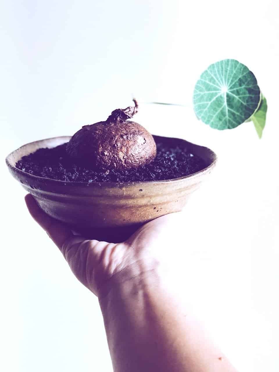 Processed with VSCO with a5 preset