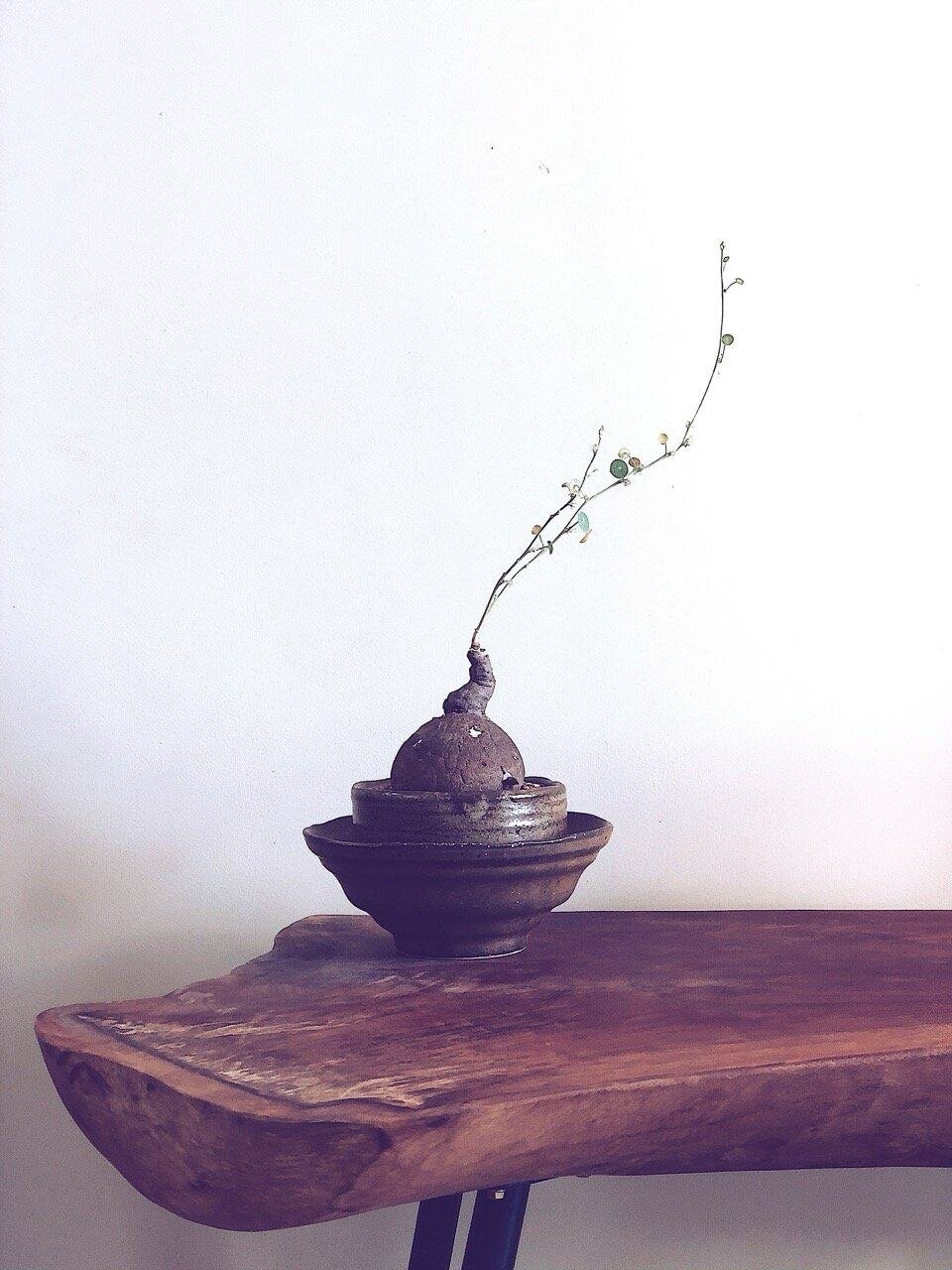 Processed with VSCO with a5 preset