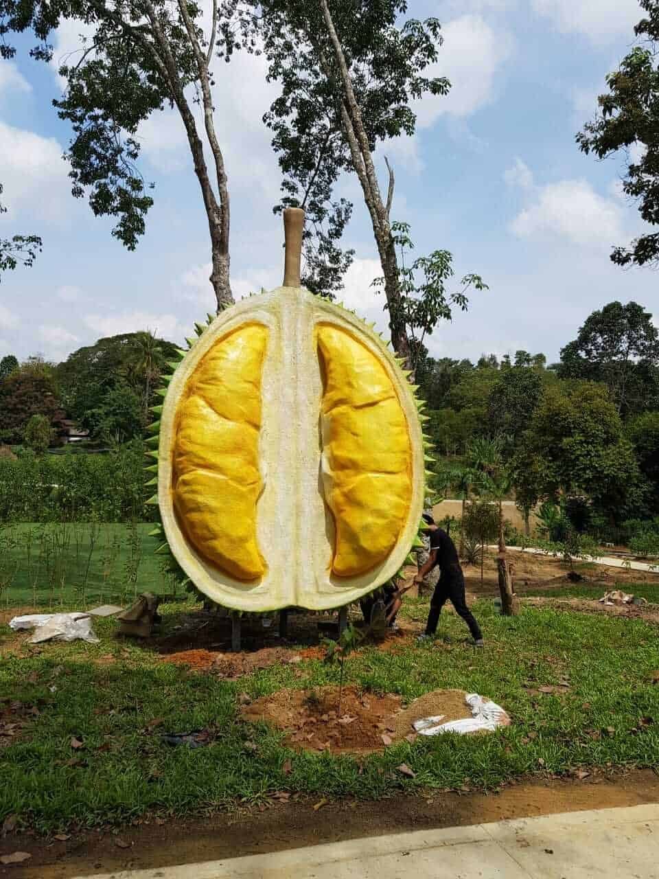 kl-tomo-moo-handmade-large-scale-design-durian-5