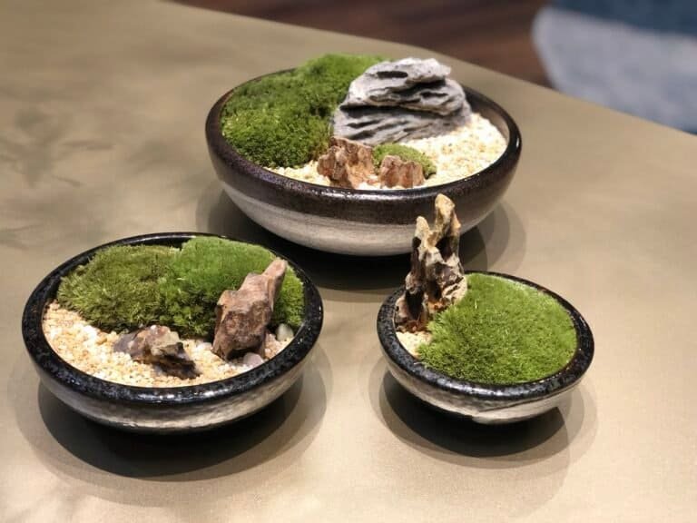 kuala-lumpur-space-decoration-quiet-garden-moss-bonsai-1