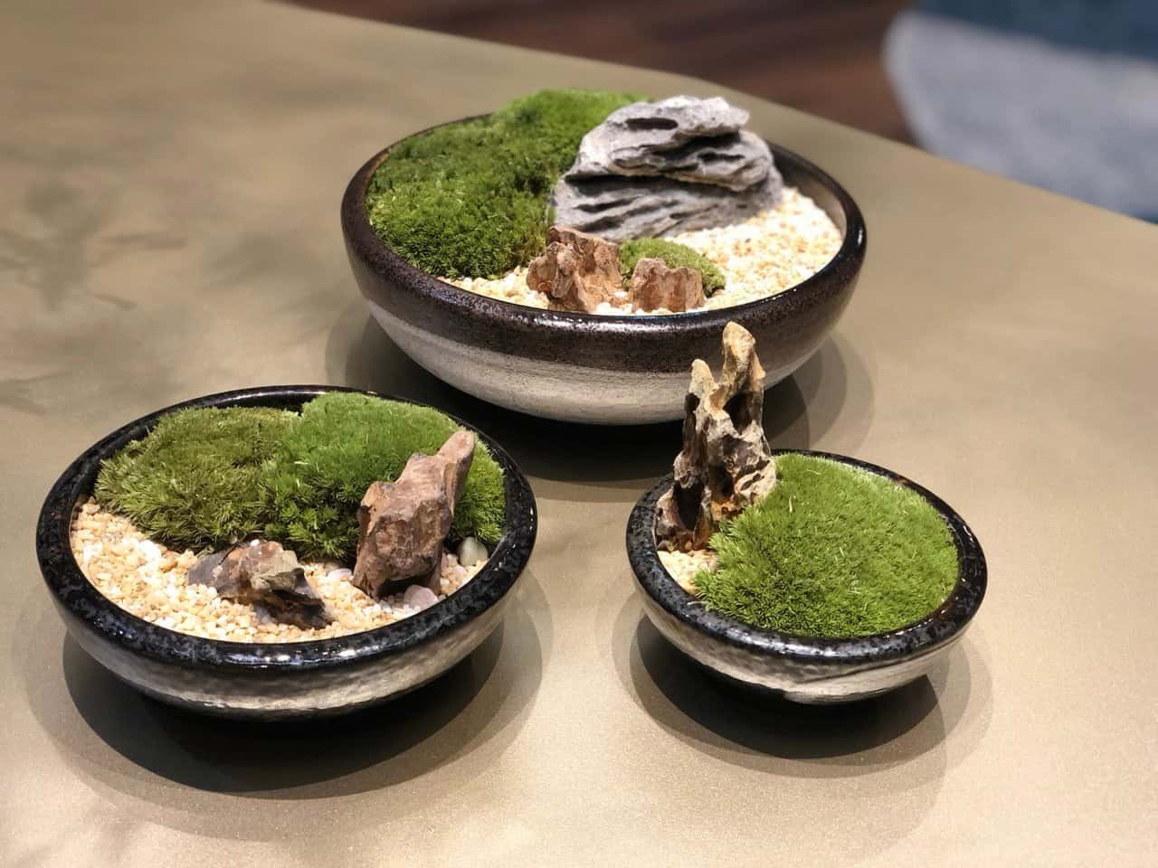 kuala-lumpur-space-decoration-quiet-garden-moss-bonsai-1