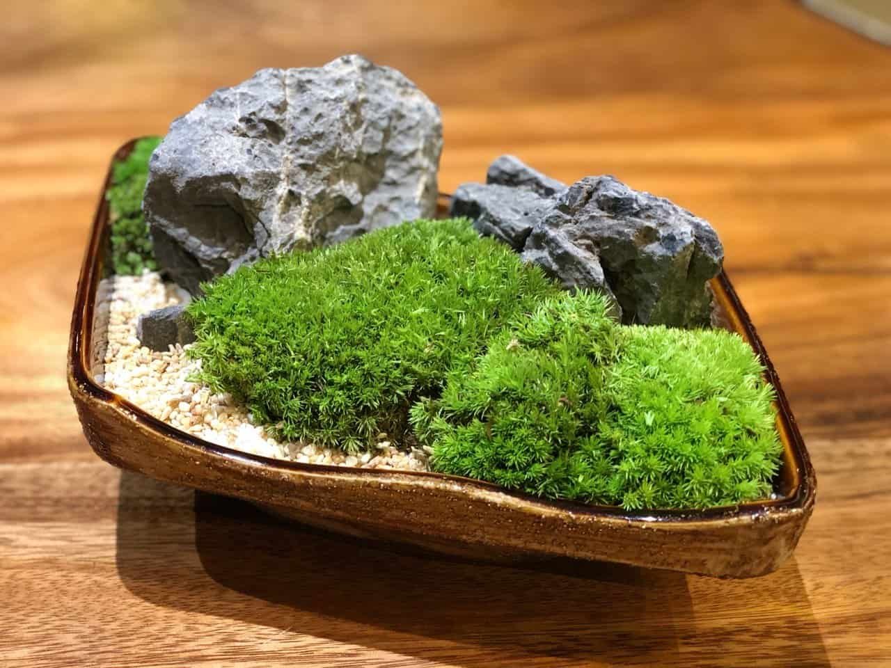 kuala-lumpur-space-decoration-quiet-garden-moss-bonsai-2