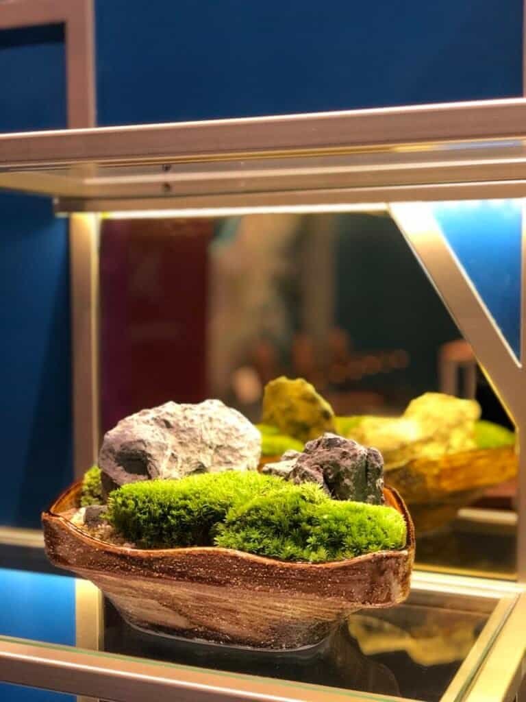kuala-lumpur-space-decoration-quiet-garden-moss-bonsai-4