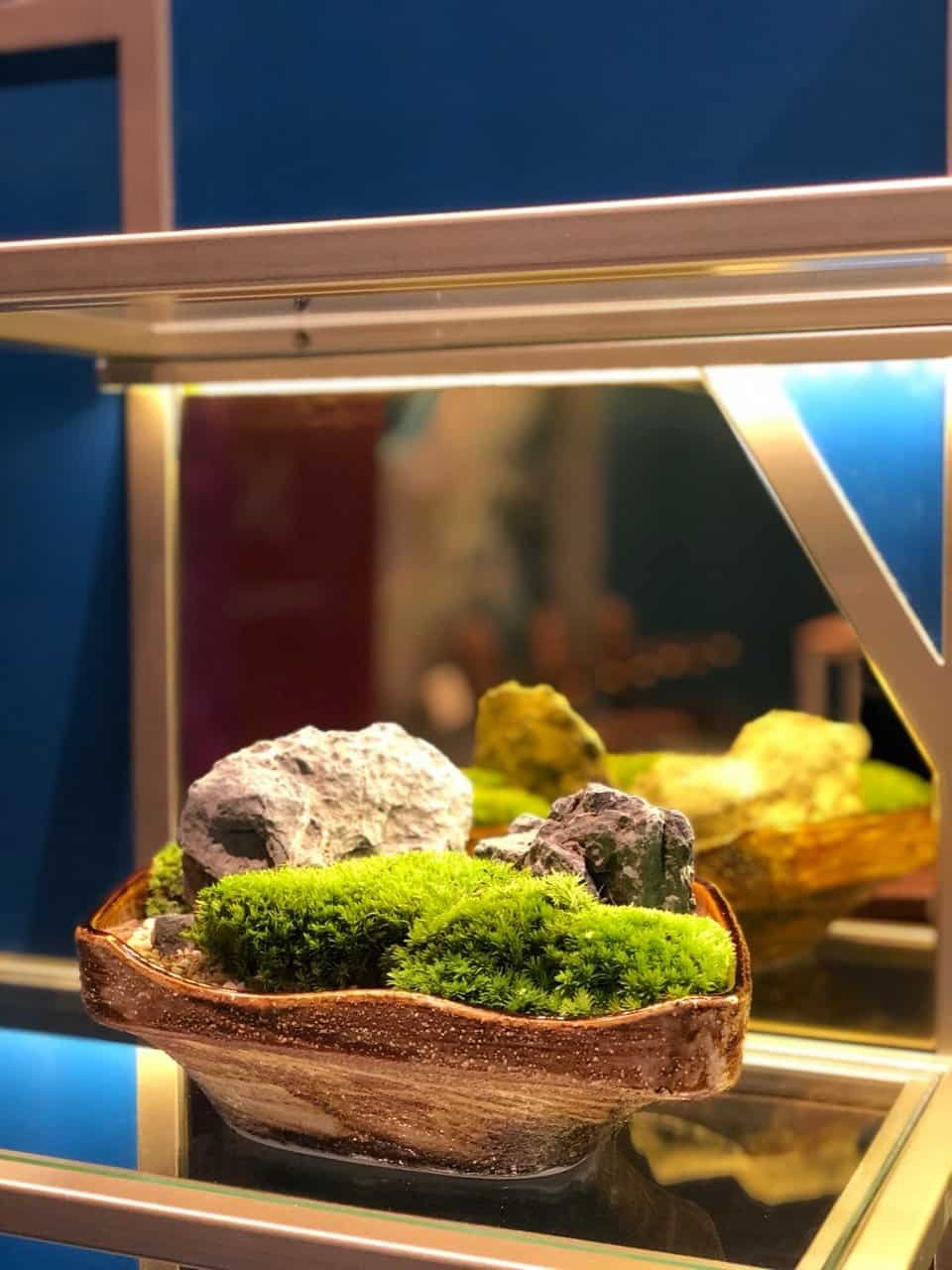 kuala-lumpur-space-decoration-quiet-garden-moss-bonsai-4