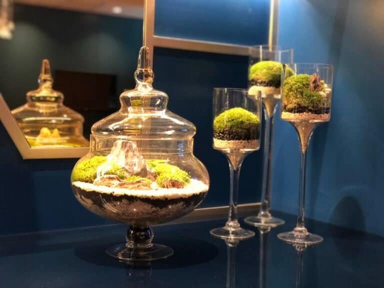 kuala-lumpur-space-decoration-quiet-garden-terrarium-1